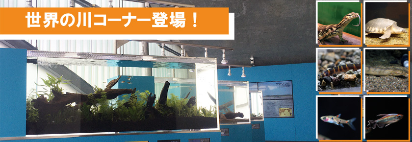 2022世界の川コーナー登場